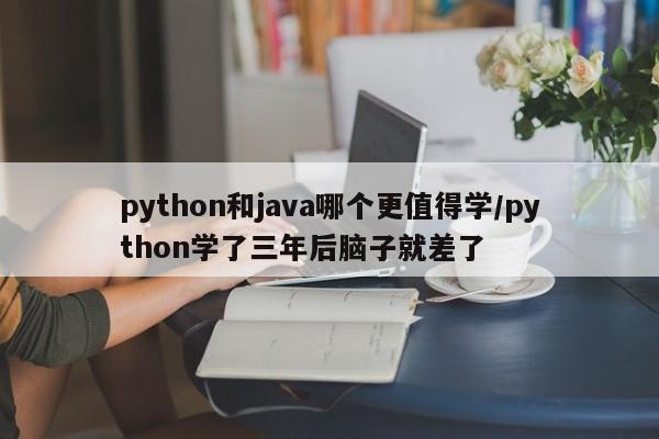 python和java哪个更值得学/python学了三年后脑子就差了