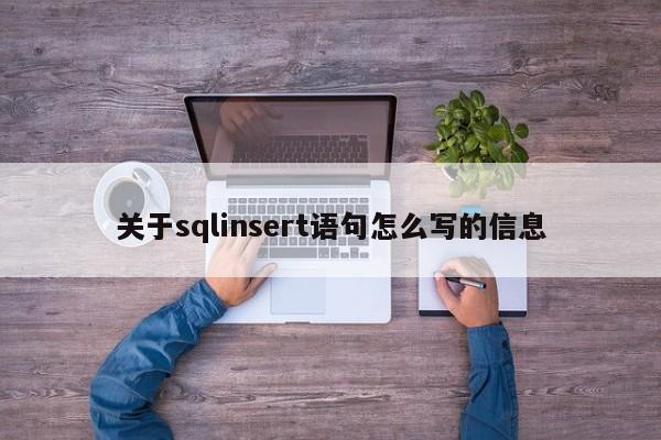 关于sqlinsert语句怎么写的信息