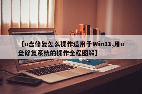 【u盘修复怎么操作适用于Win11,用u盘修复系统的操作全程图解】